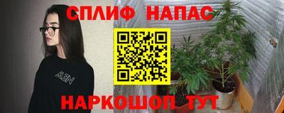 прущие крисы Бузулук