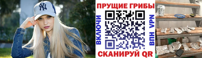 где найти наркотики Гурьевск Галлюциногенные грибы мицелий
