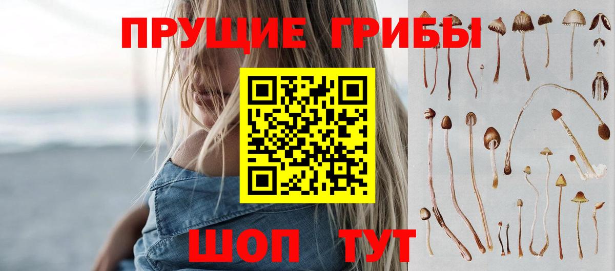 Псилоцибиновые грибы GOLDEN TEACHER Гурьевск