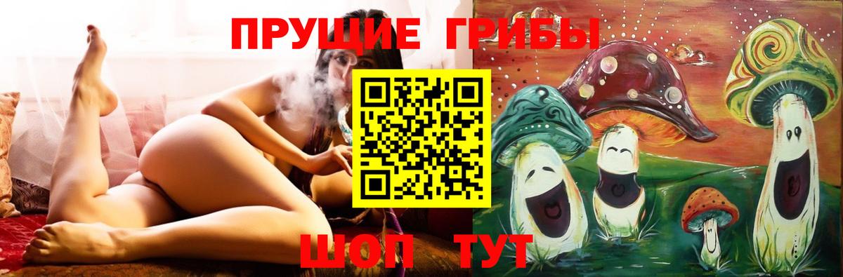 Псилоцибиновые грибы Magic Shrooms Гурьевск