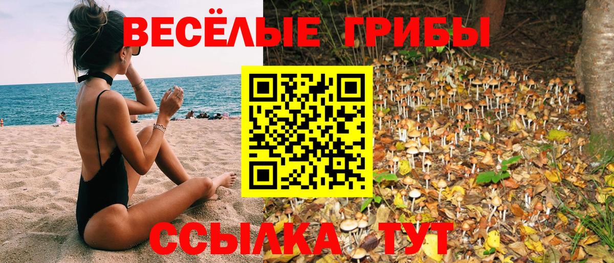 Псилоцибиновые грибы мухоморы  что такое наркотик  Гурьевск 